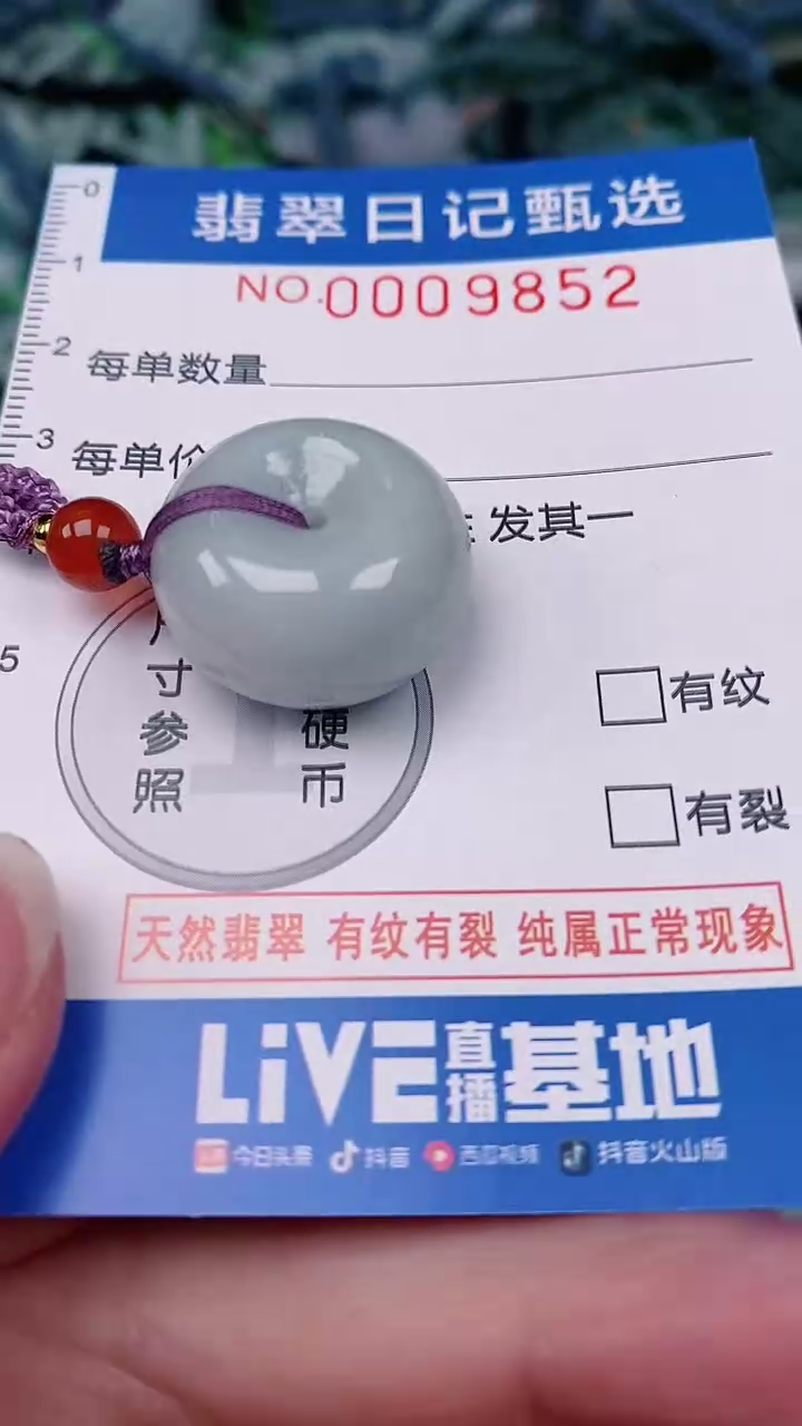 【闪购商品】翡翠颈饰未镶嵌00009852