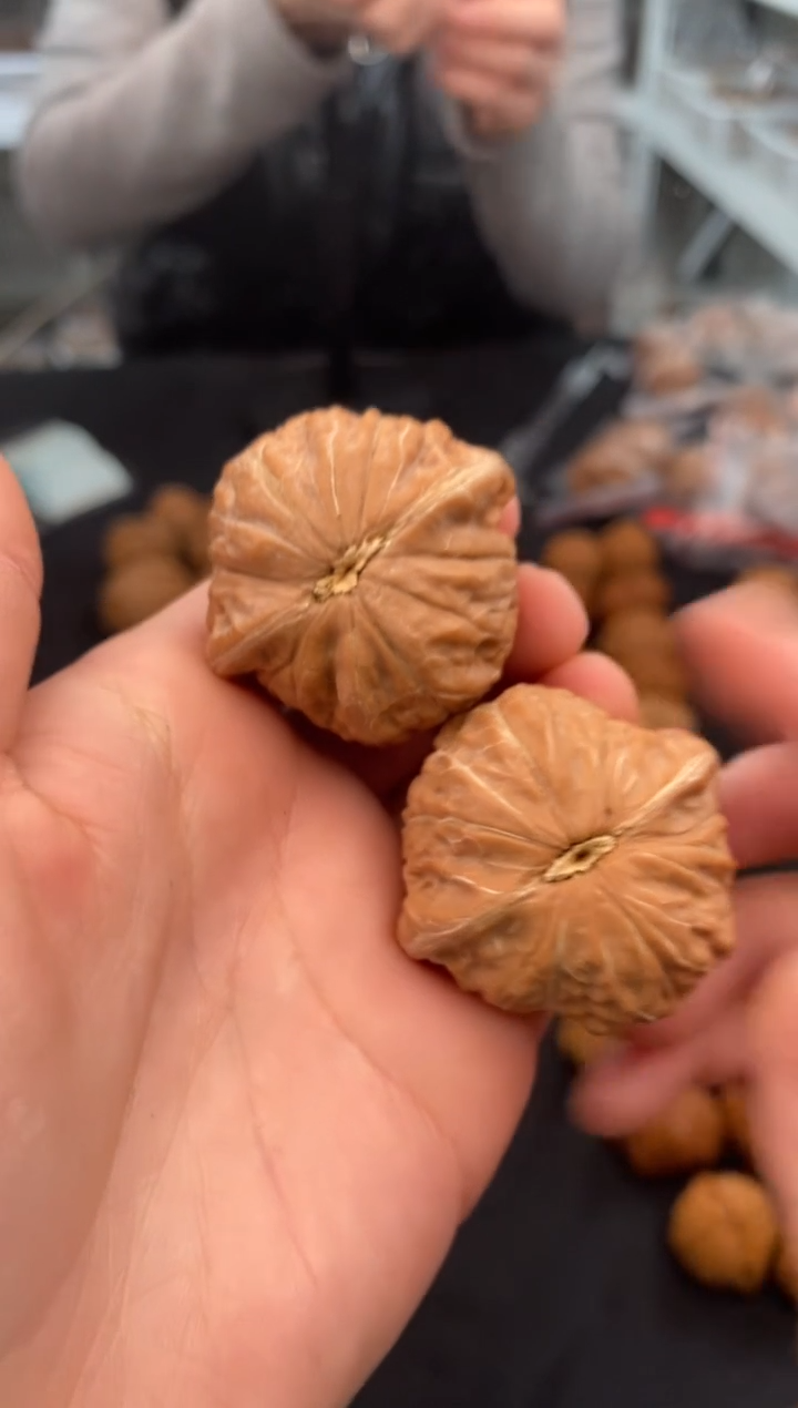 【闪购商品】文玩核桃把件铁锤39-t879