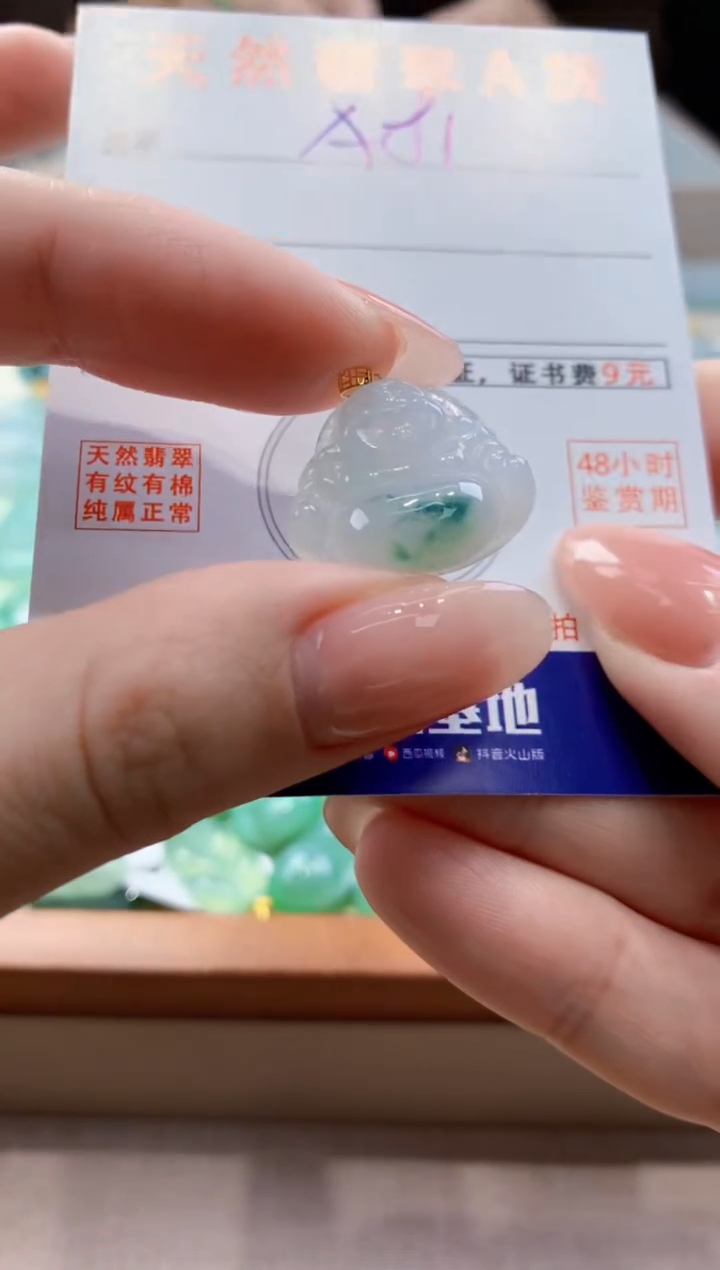 颈饰未镶嵌翡翠天然A货翡翠挂件