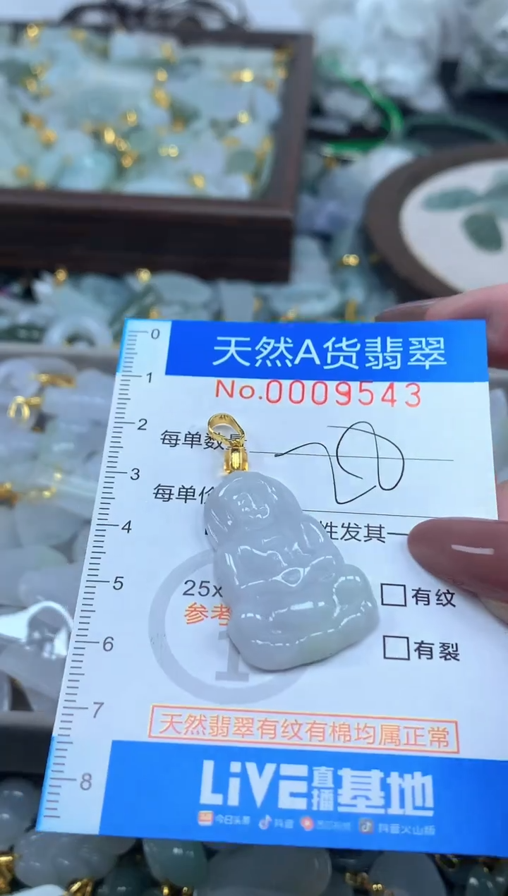 颈饰未镶嵌翡翠净货挂件-9543