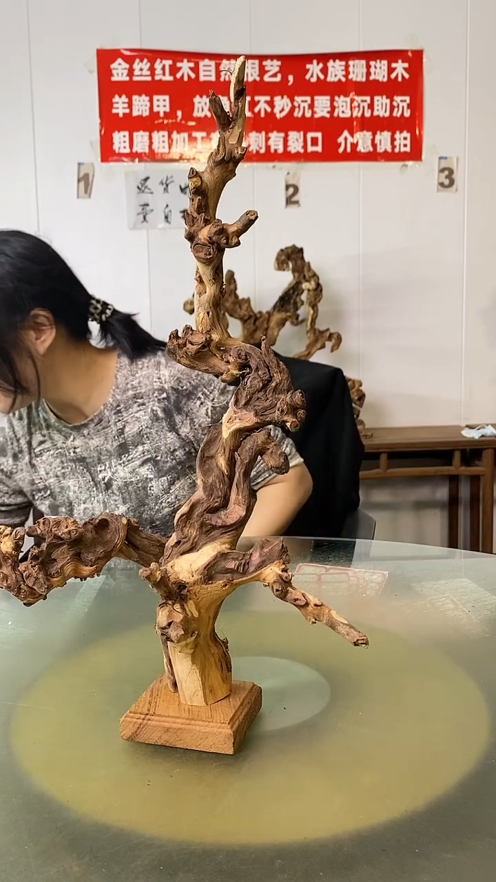 木爱*金丝红木 羊蹄甲