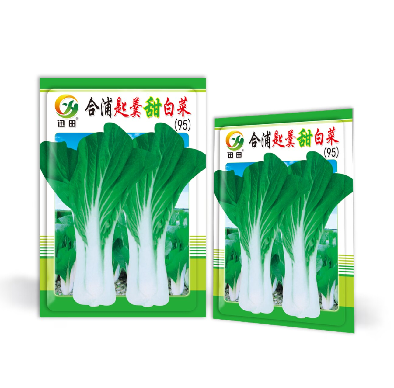 合浦匙羹甜白菜种子高梗白菜种子四季种植脆嫩可口小白菜种籽
