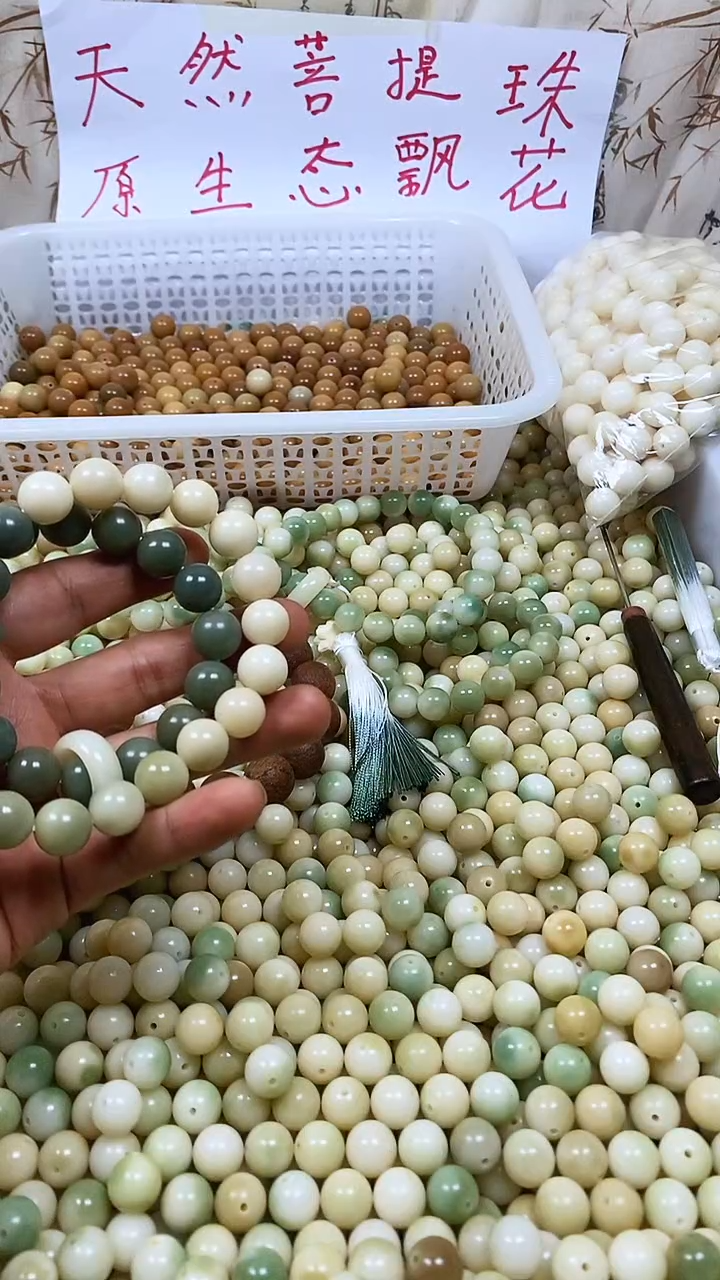 吊坠菩提根/象牙果13