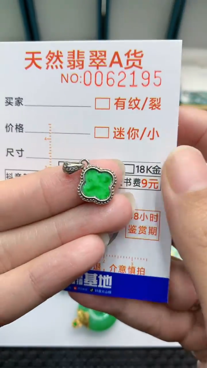 【闪购商品】翡翠颈饰银S925镶嵌            8