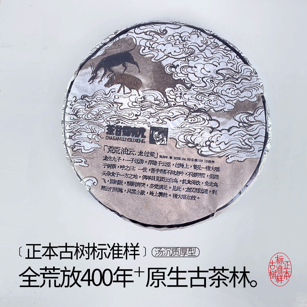 【正本古树标准样】蛮砖龙过梁古树头春易武古六山核心产区山头