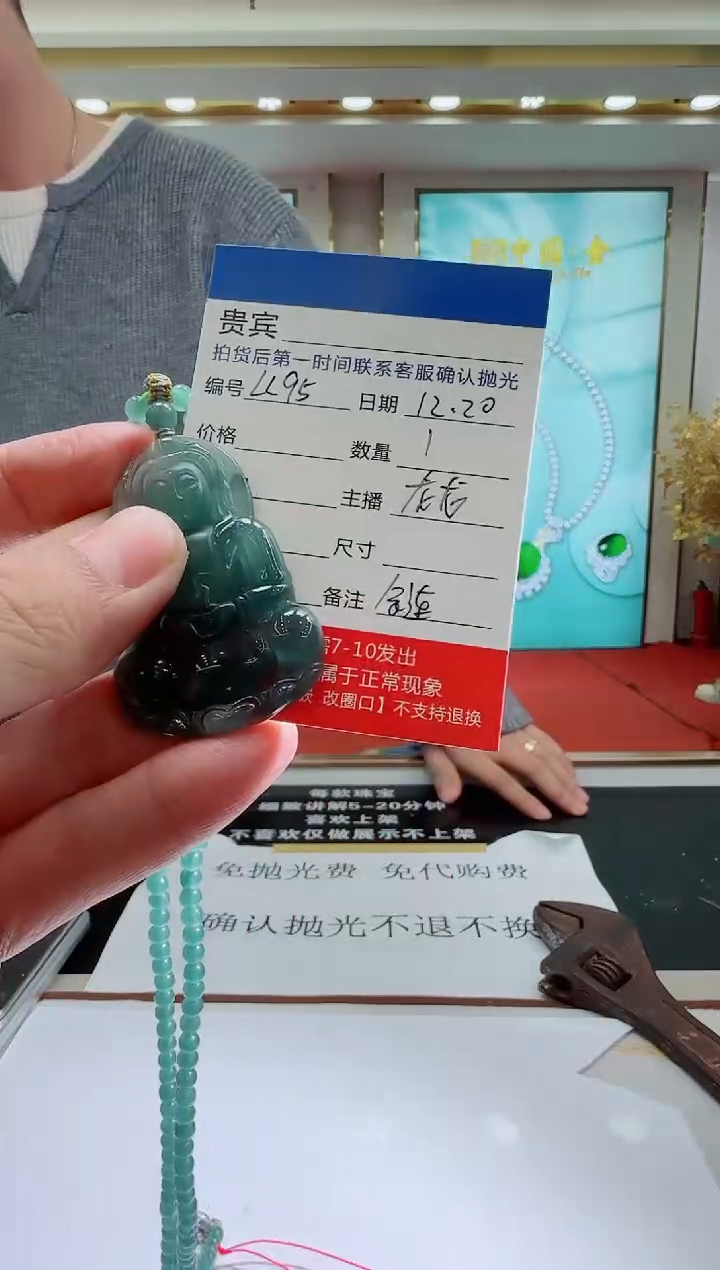 未镶嵌定制翡翠LL95翡翠吊坠赠珠链-多样性发其一