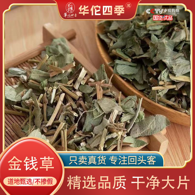 金钱草 广西大叶金钱草 优选精致泡茶煮水正品保证无杂质