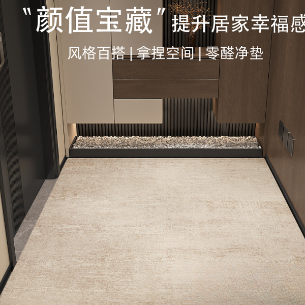 入户门地垫轻奢高级感门口进门脚垫耐脏防滑可裁剪定制玄关地垫