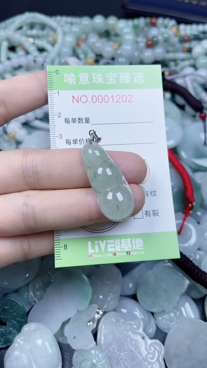 颈饰未镶嵌翡翠100