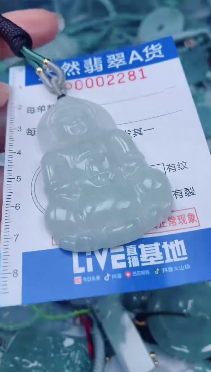 颈饰未镶嵌翡翠00002281