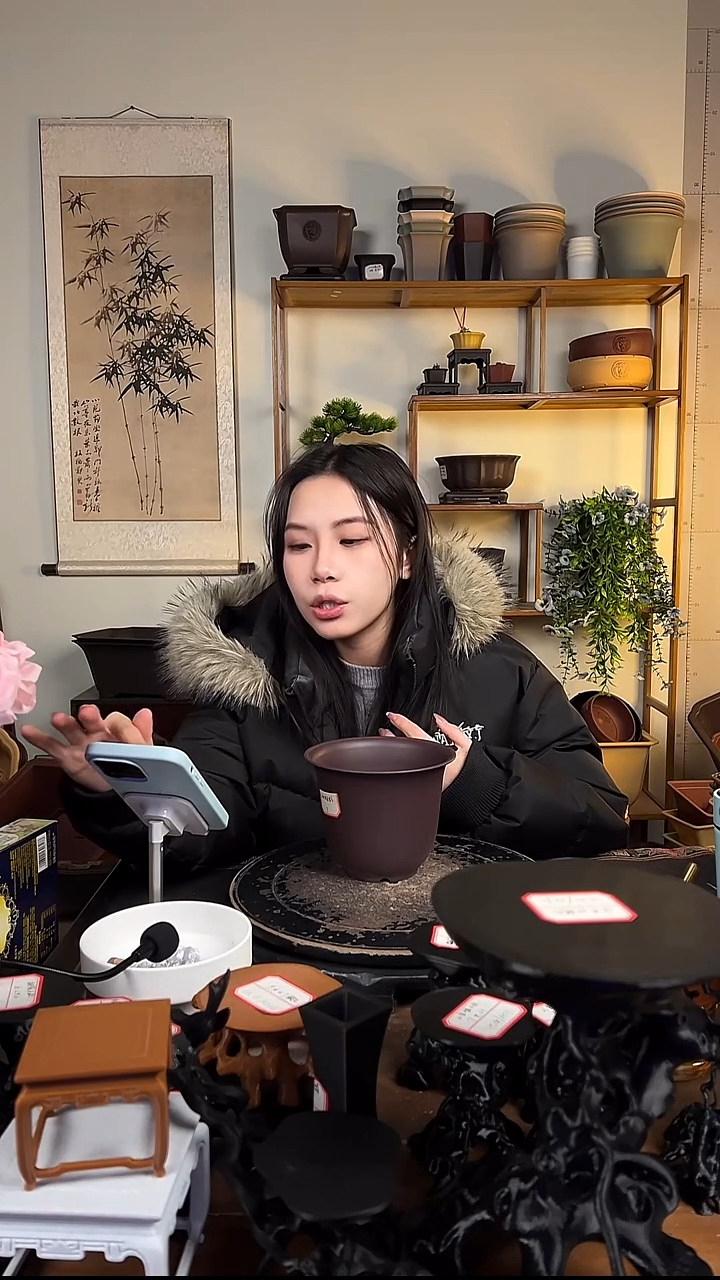  10只15口径金钟紫檀色