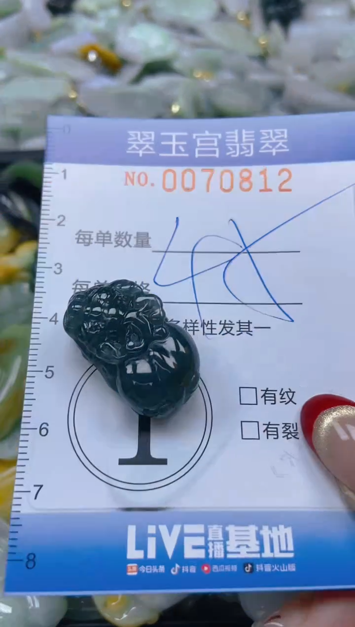 【闪购商品】翡翠颈饰未镶嵌闪购0070812