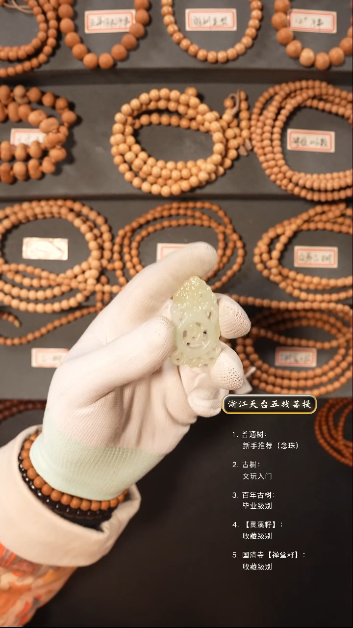 【闪购商品】五线菩提吊坠手串