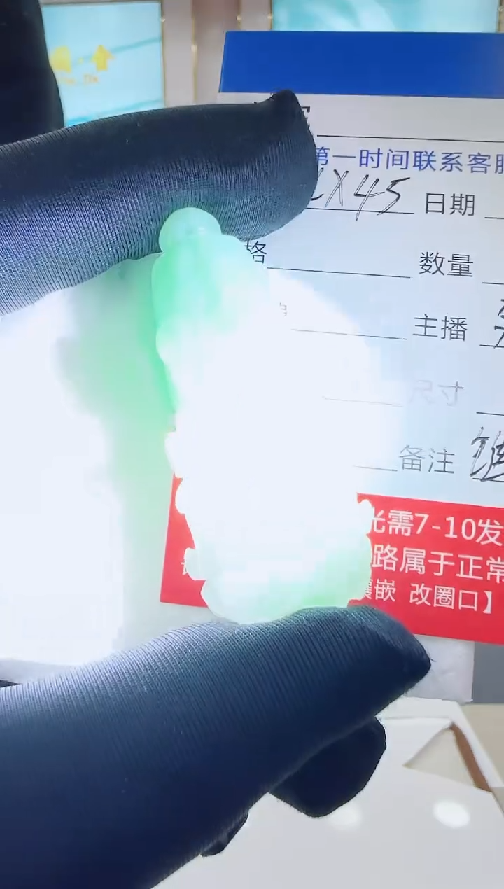 未镶嵌定制翡翠LX45翡翠吊坠赠珠链-多样性发其一