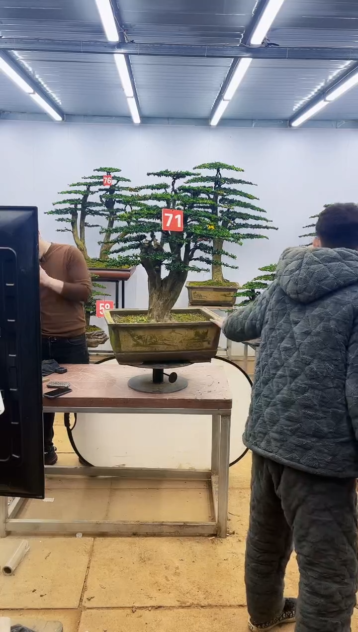 【闪购商品】一物一拍，所见即所得