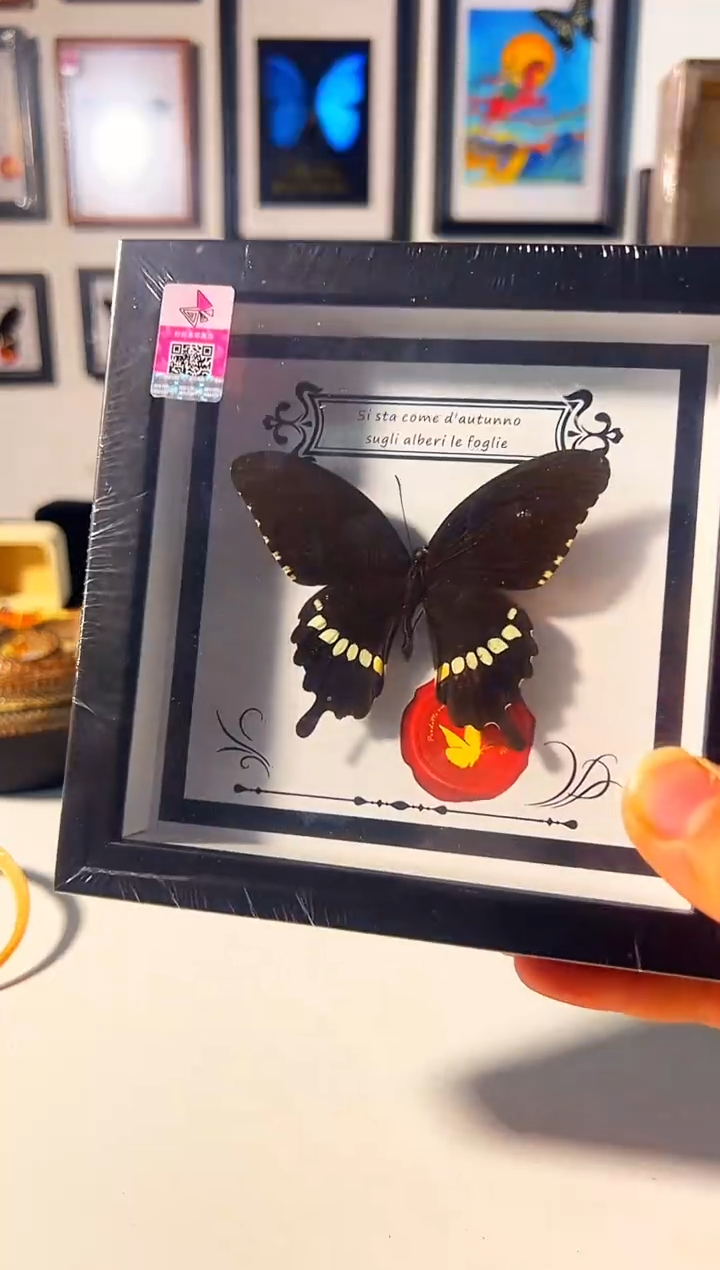 有机玻璃35884848