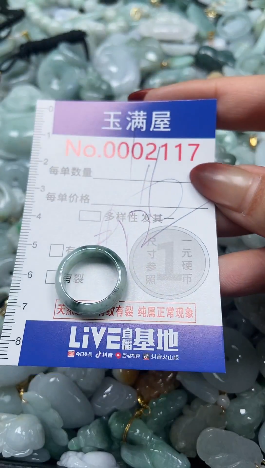 颈饰未镶嵌翡翠2117