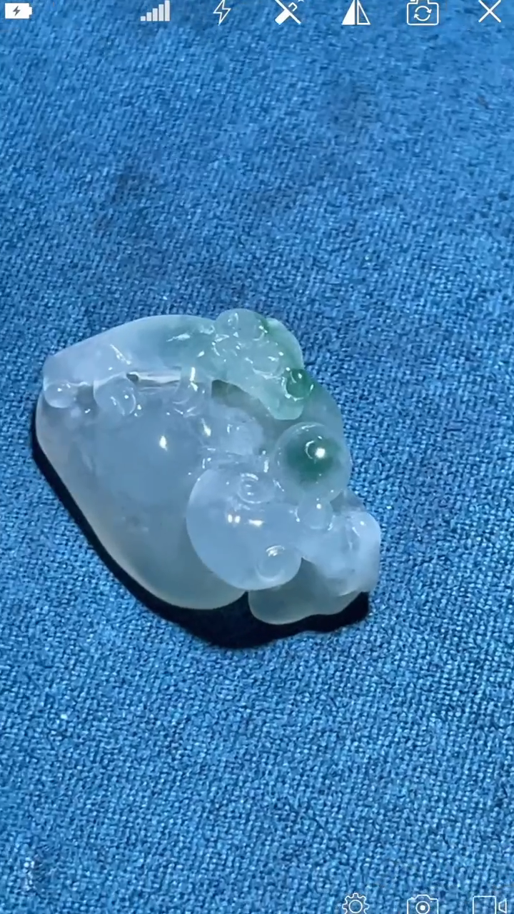 翡翠未镶嵌颈饰SU貔貅