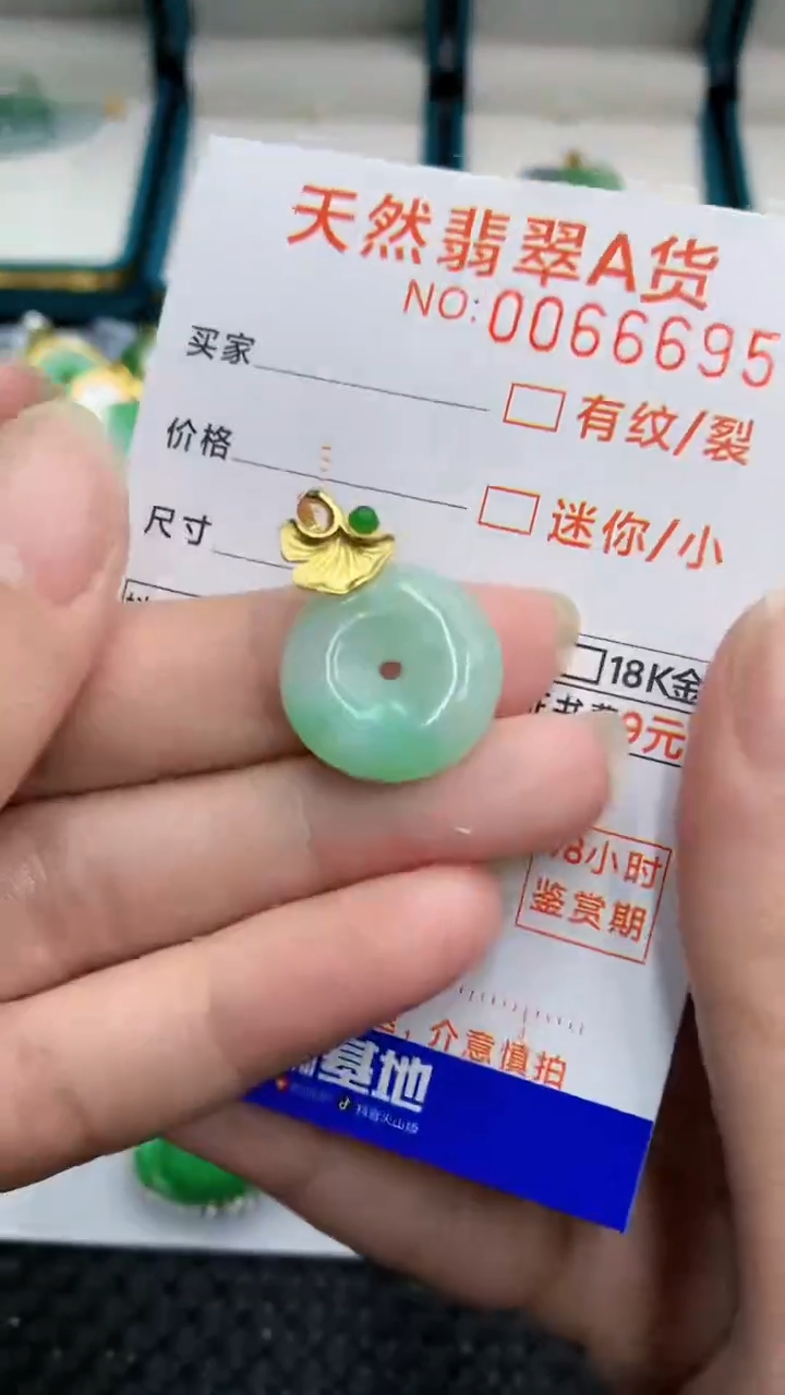 【闪购商品】翡翠颈饰银S925镶嵌            8