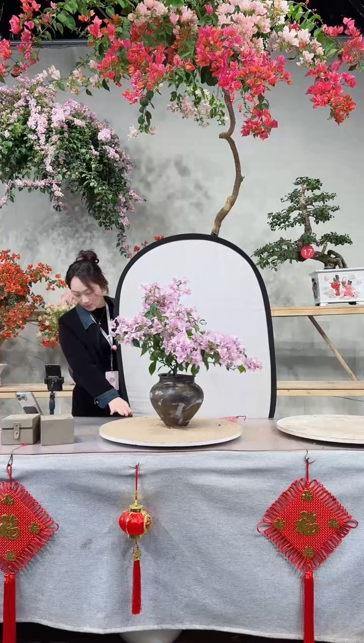 【闪购商品】盆景苹果花