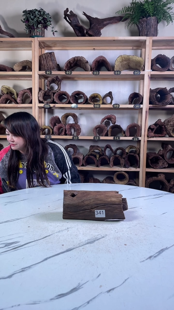 8***拉云南紫柚木造景沉木341