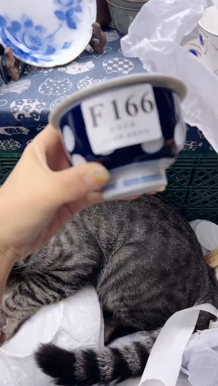 瓷片束*欢  F166