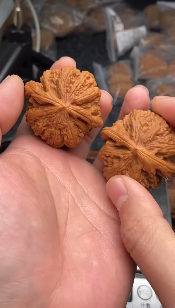 【闪购商品】文玩核桃把件G142号44尺粗筋