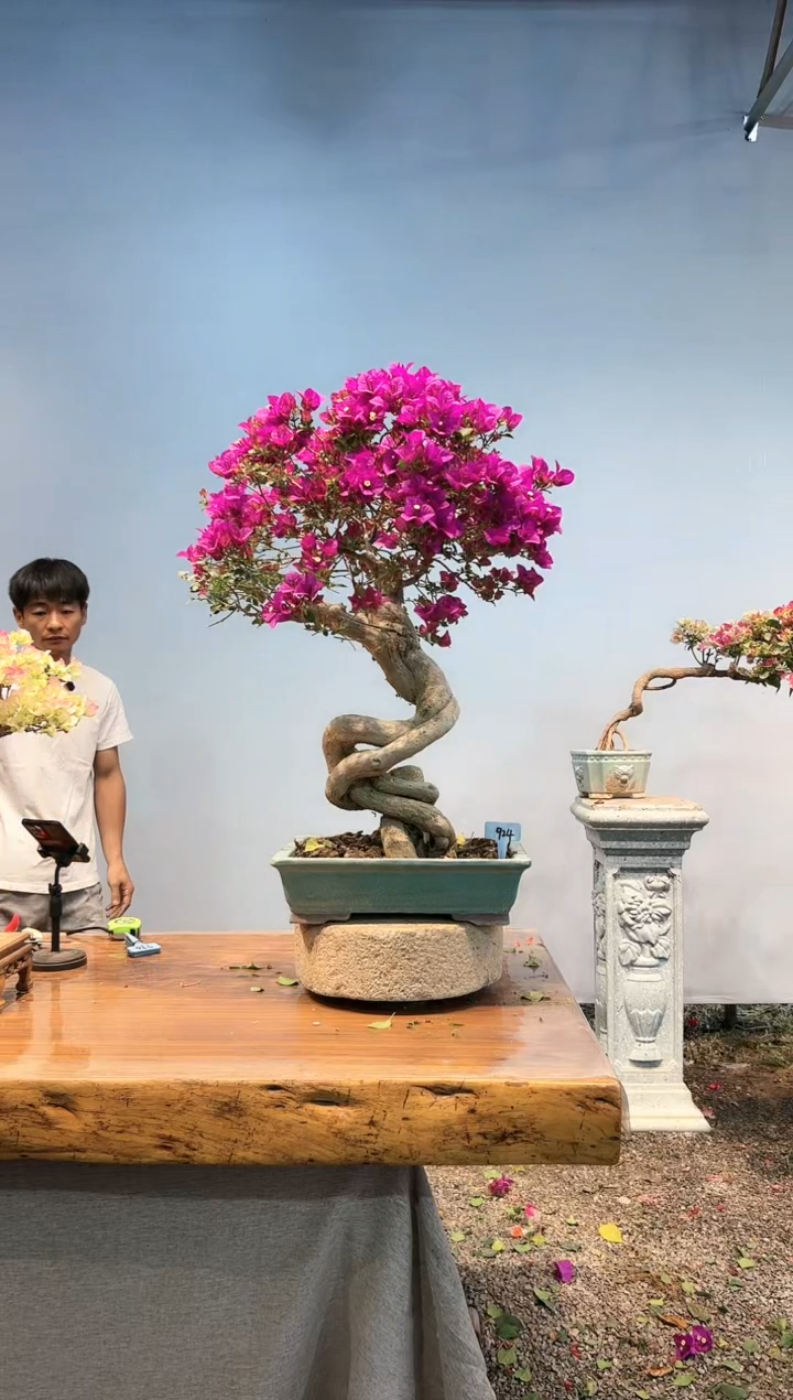 【闪购商品】aa924