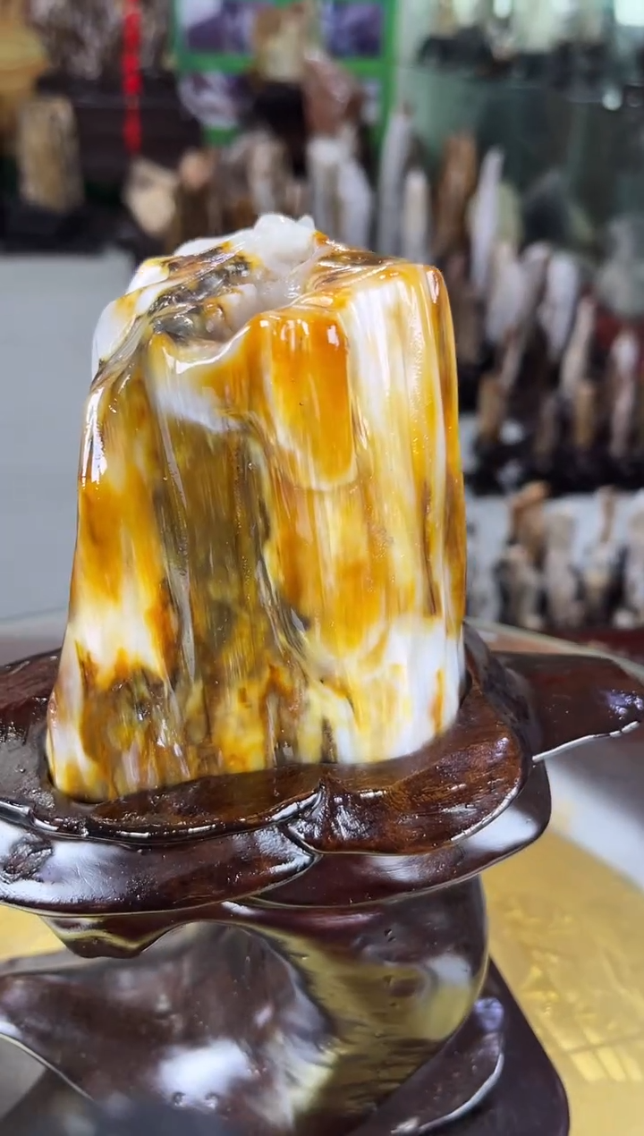 未镶嵌珠宝奇石硅化玉缅甸天然树化玉摆件