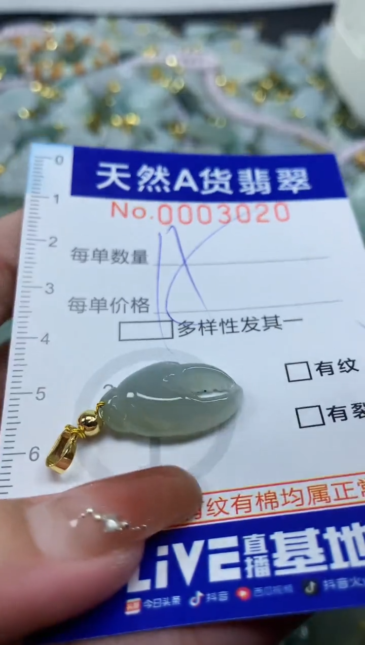 颈饰未镶嵌翡翠天然A货翡翠