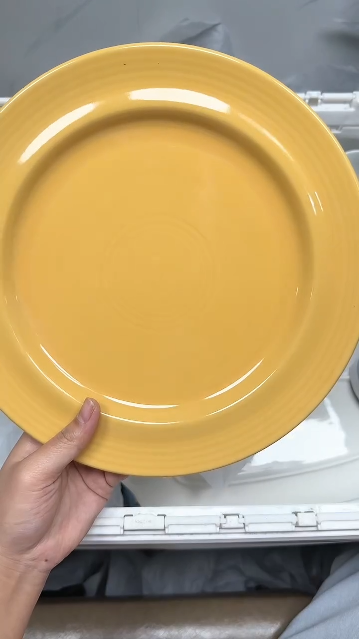 【闪购商品】497回流瓷器默认微瑕，18.8包邮