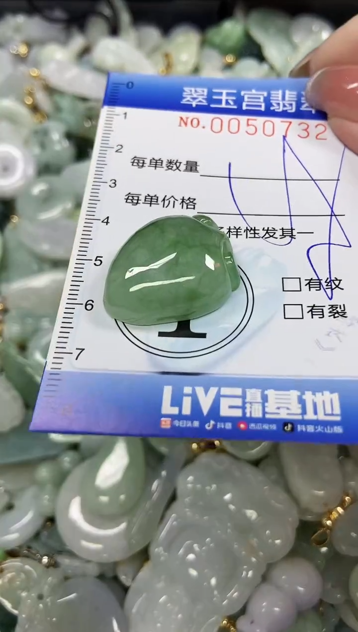 【闪购商品】翡翠颈饰未镶嵌闪购0050732