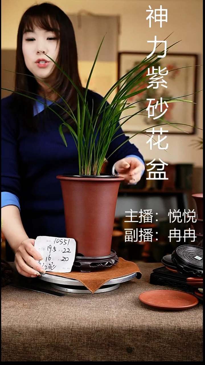 紫砂花盆花卉工艺10551+s