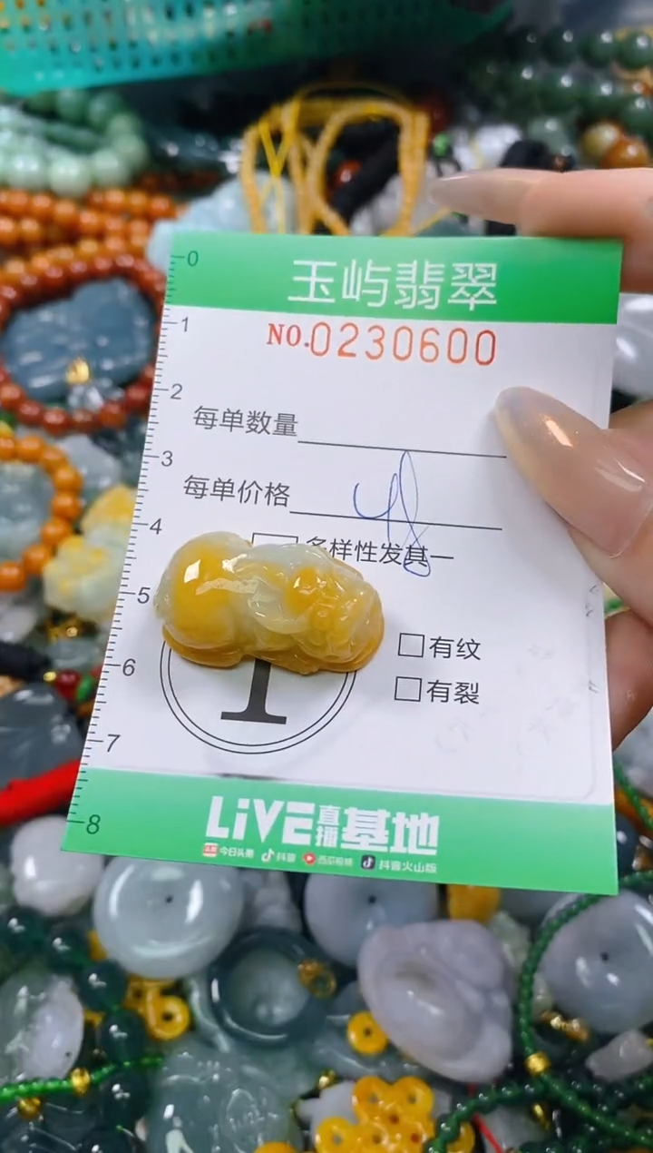 颈饰未镶嵌翡翠闪购0230600