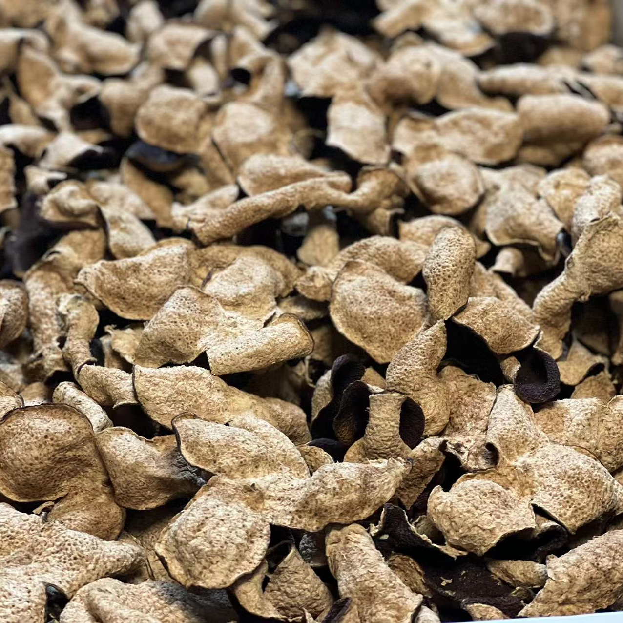 【直播福利】2008东甲牛比围大红皮 正宗新会陈皮 