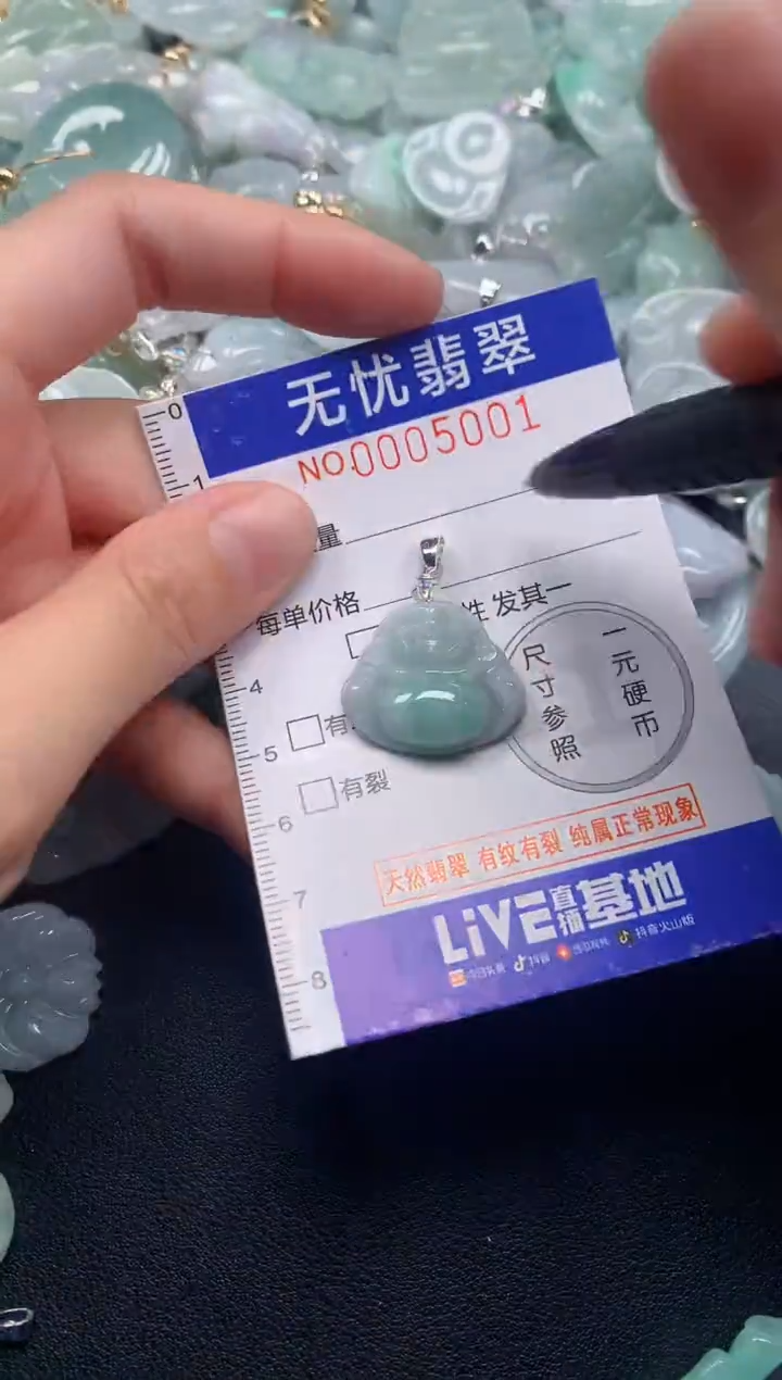 颈饰未镶嵌翡翠5001