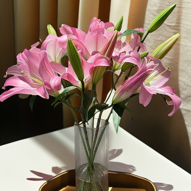 【若比邻优选】星光香水百合 开花珠光粉花如其名 闪闪发光值得拥有