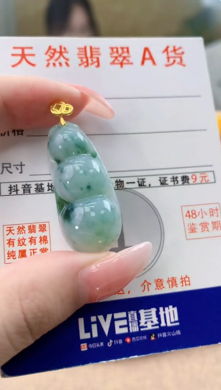 颈饰未镶嵌翡翠天然A货翡翠挂件