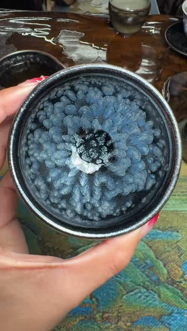 【闪购商品】茶盏阙梅娇黑牡丹19