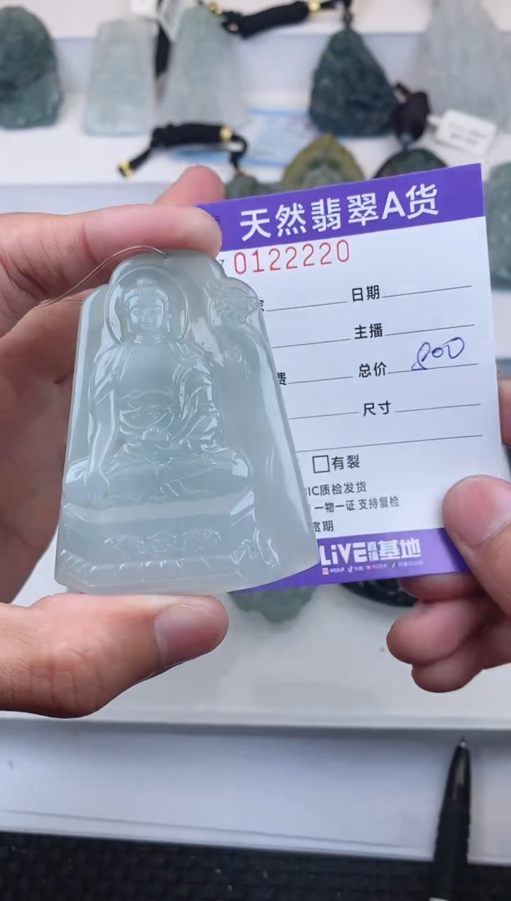 【闪购商品】翡翠颈饰未镶嵌          220