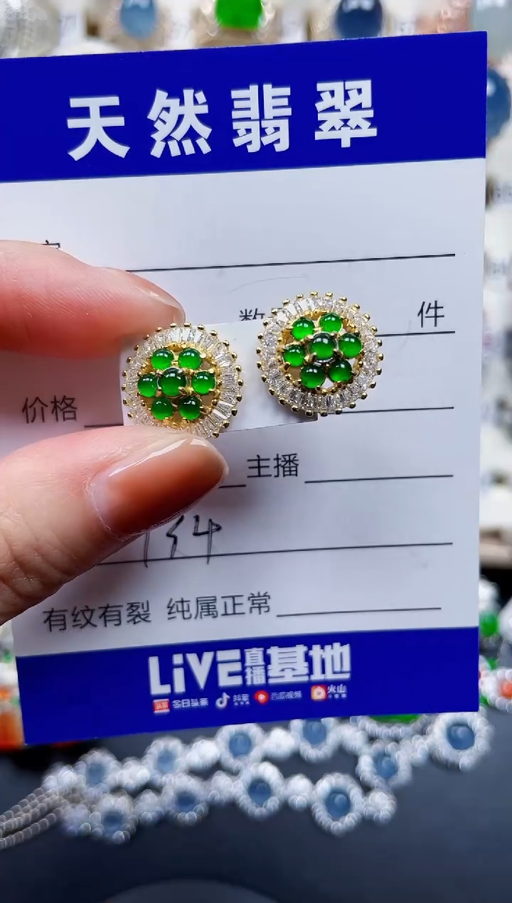 银S925镶嵌翡翠耳饰134