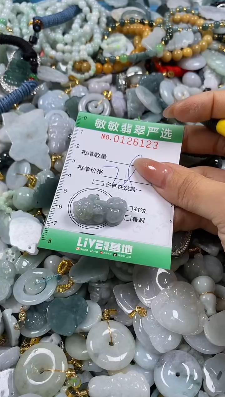 【闪购商品】翡翠颈饰未镶嵌闪购0126123