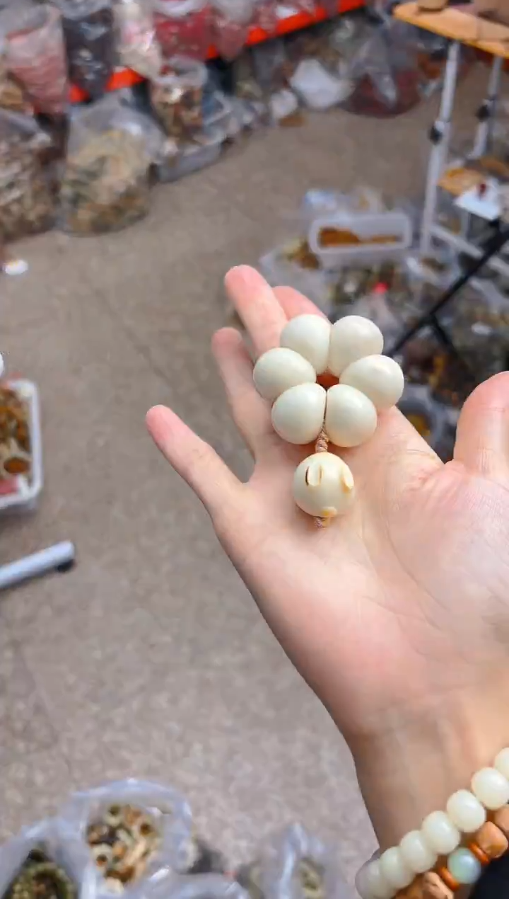 吊坠菩提根/象牙果小卡白色山竹 馒头兔