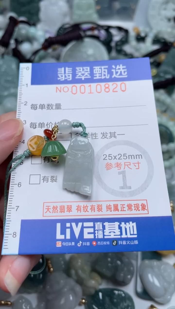 颈饰未镶嵌翡翠10820