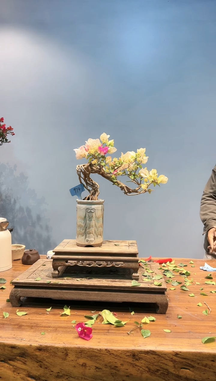 【闪购商品】aa974