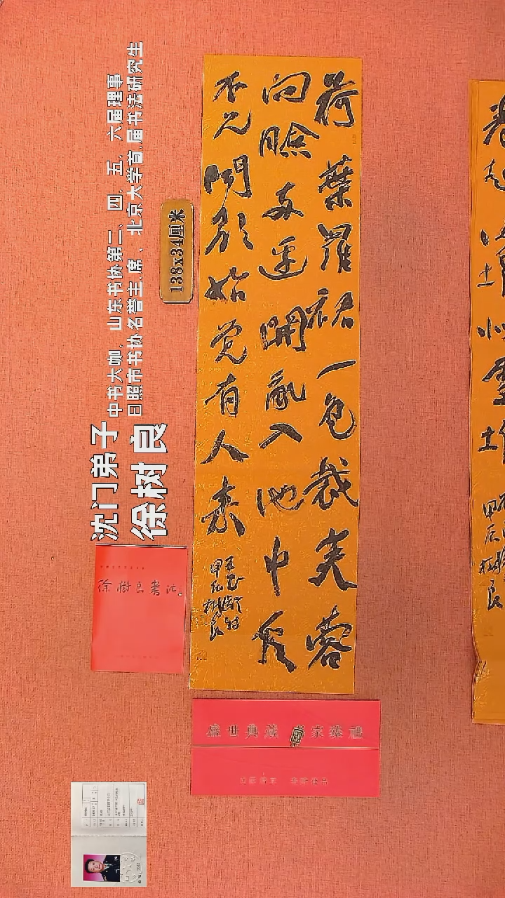 【闪购商品】书法30      徐树良书法作品