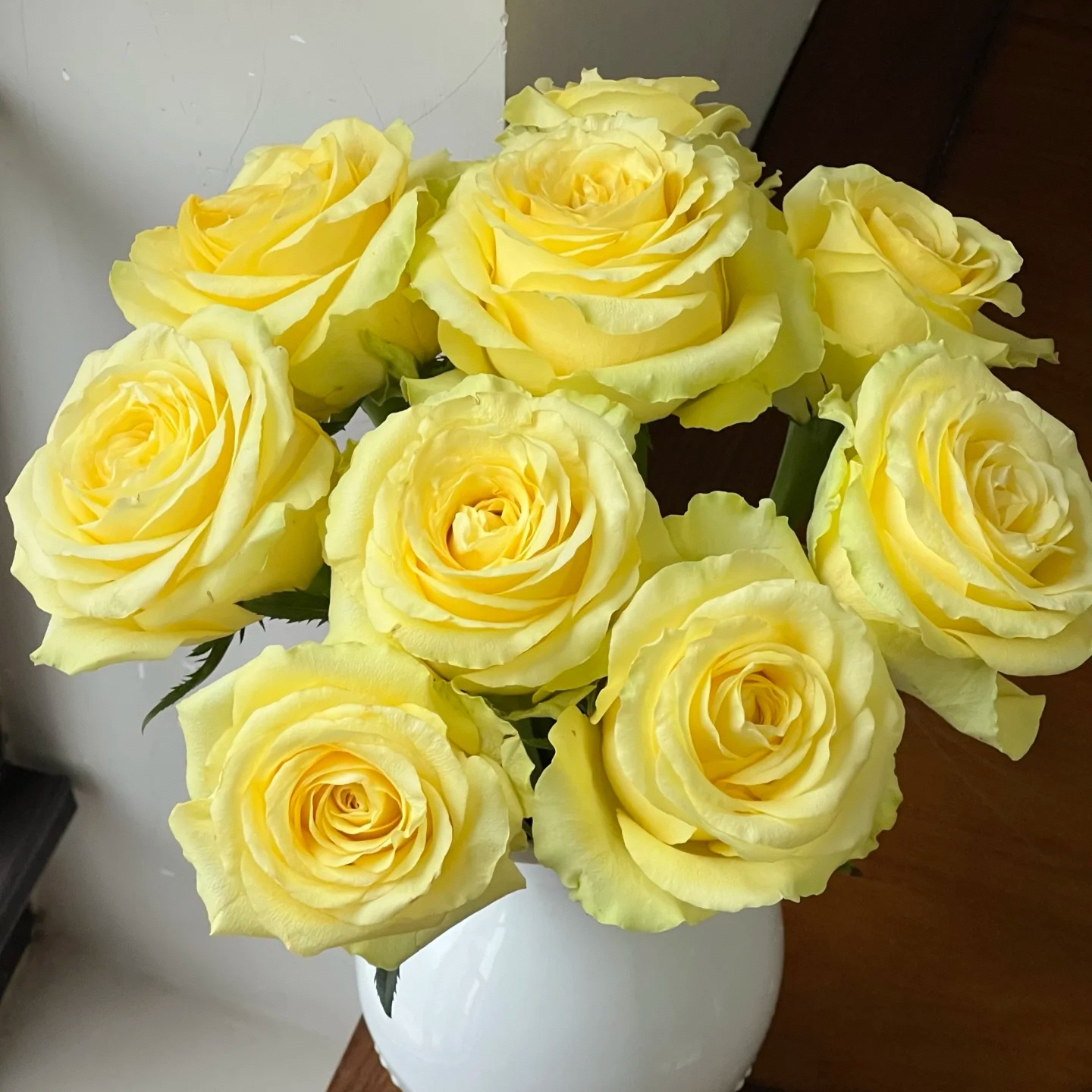 逸禾基地浪漫沙滩单头玫瑰鲜花基地直采直发2单顺丰包邮含保鲜剂