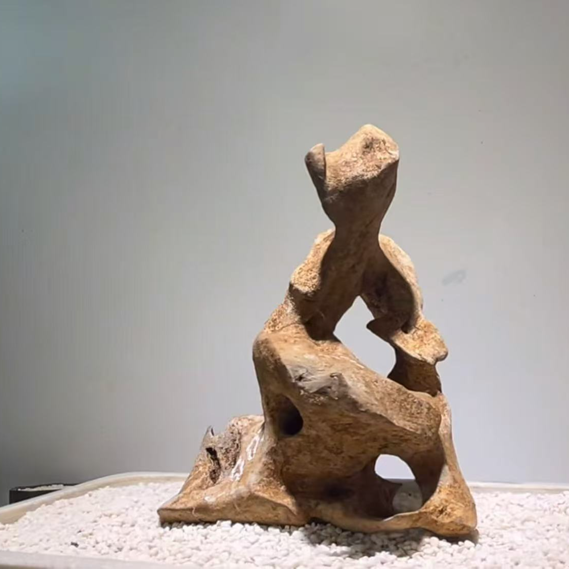 广西精品太湖石直播间一物一拍实物为准