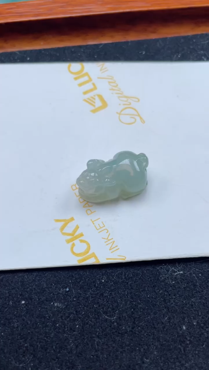 【闪购商品】翡翠颈饰未镶嵌貔貅