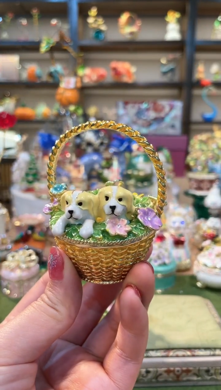 样品如图美美美美美——